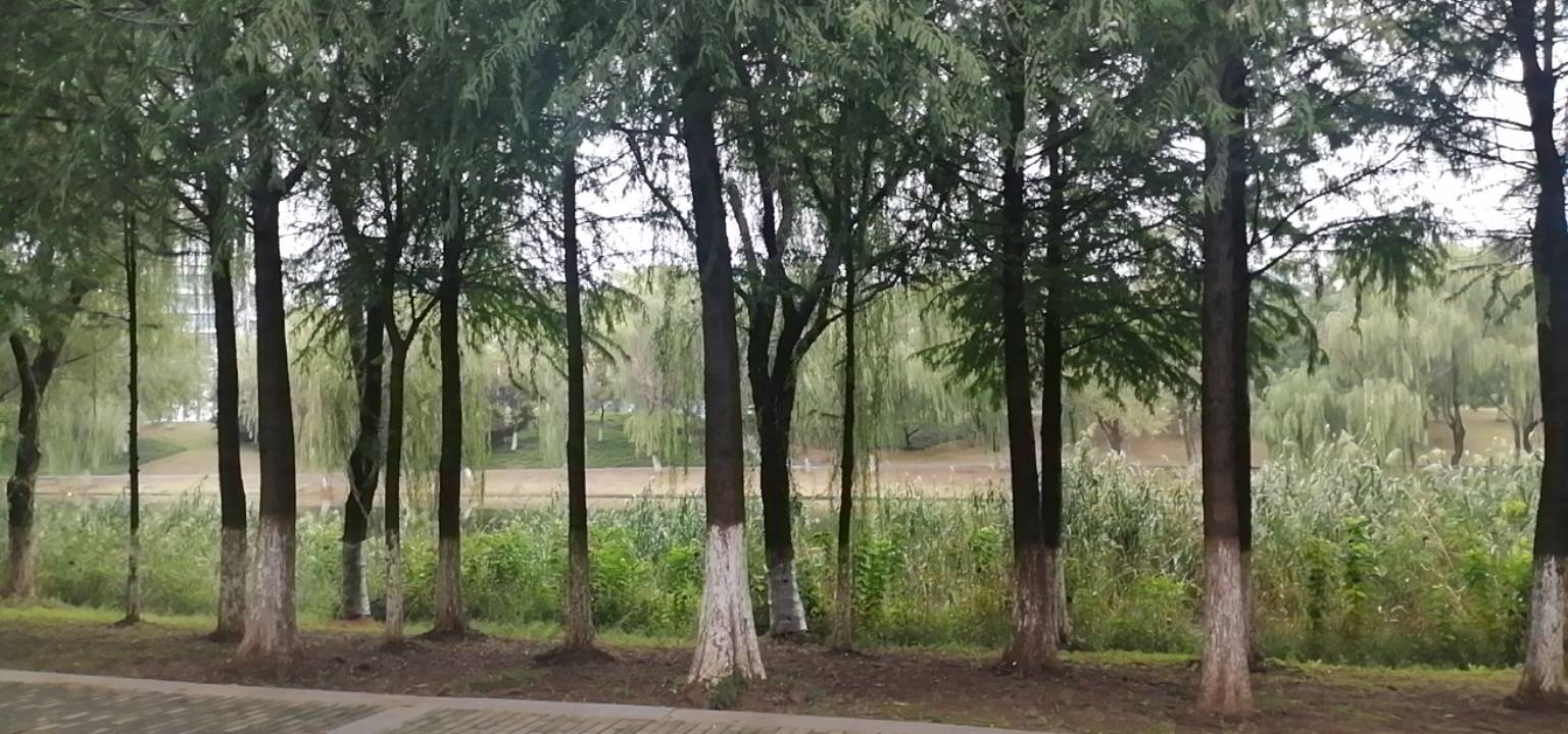 眺望远方，保护眼睛

83 / 作者:故事大王磨推鬼 / 