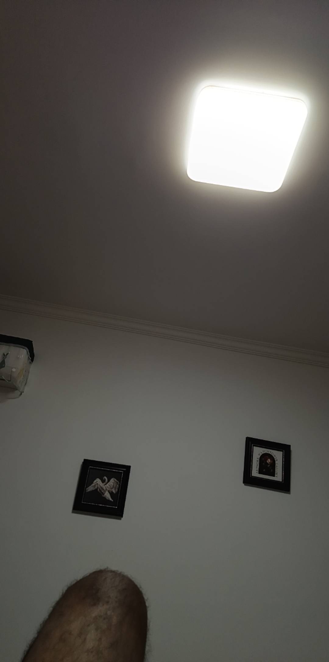 唉！天天住在父母的房子里，回家二个月了，，要不是我爸妈就我一个儿子，肯定不管我了56 / 作者:小爪哇 / 