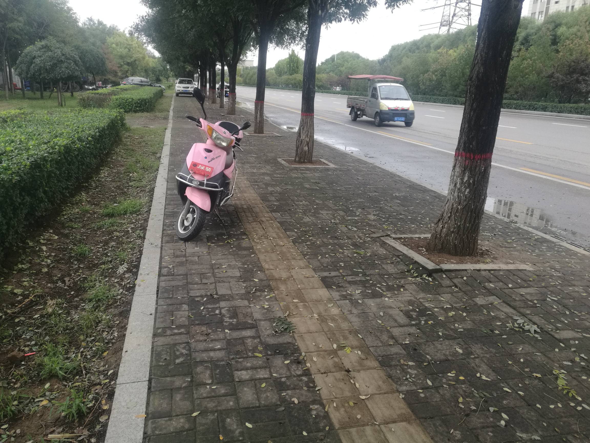 哭了 骑电动车走半路上 跳闸了突然 一看这个闸坏了 松松垮垮的 前不着村后不着店 修的29 / 作者:努力优秀_ / 