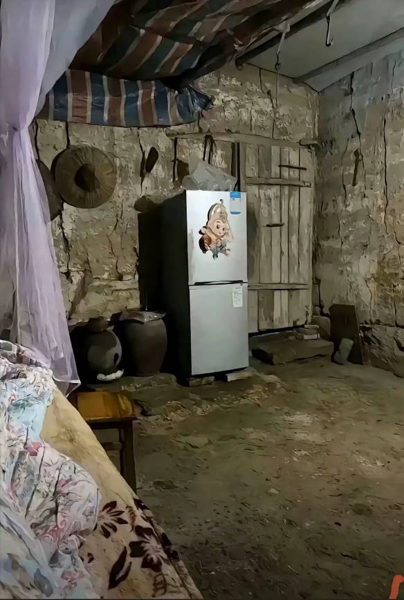 想把冰箱拿去卖了输完安心去打工

84 / 作者:季伯长 / 