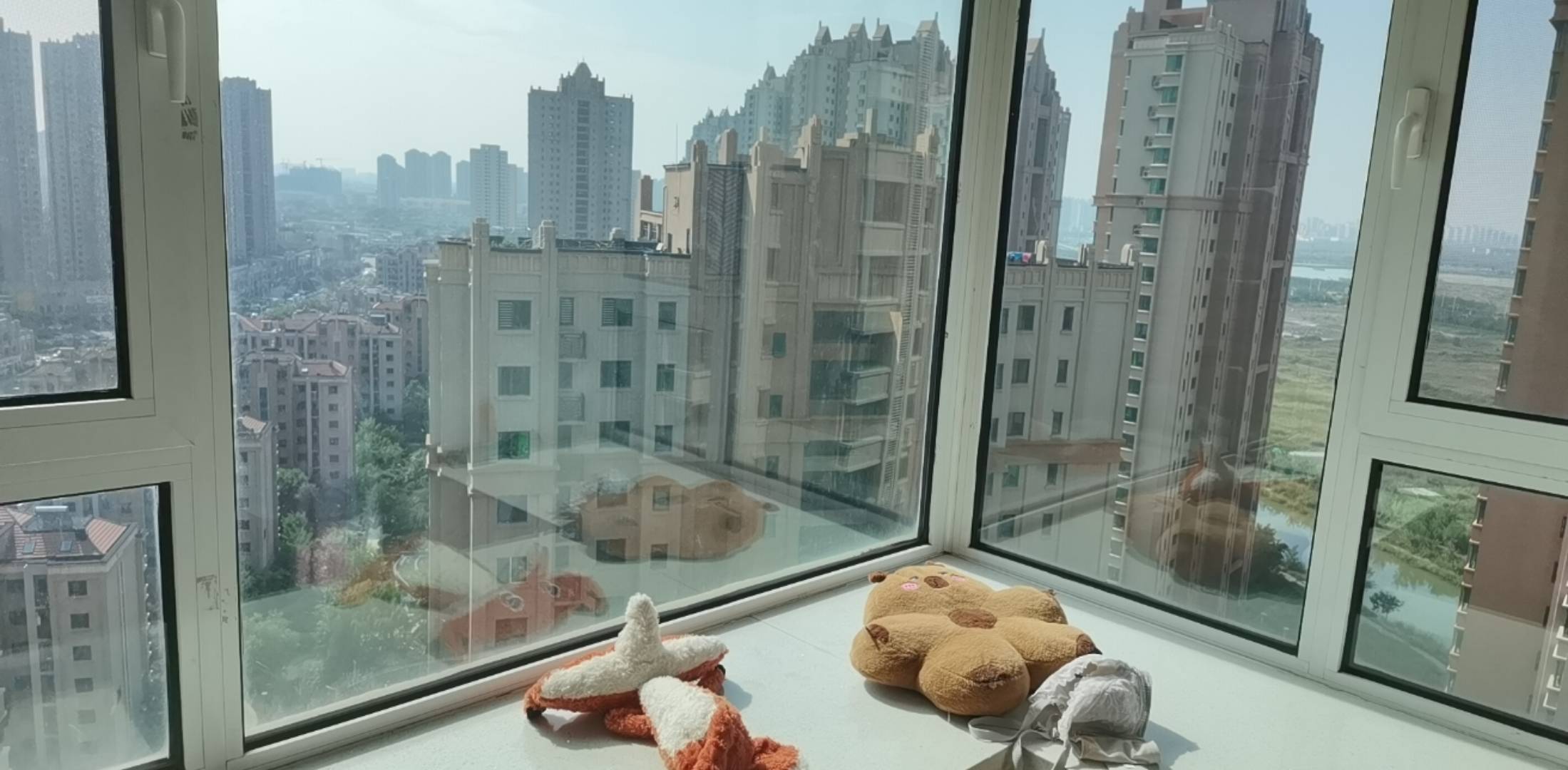 什么时候我也可以像朋友一样在这里拥有真正属于自己的家呢，一起来这里打拼，结果人家99 / 作者:不会游泳的磐鱼 / 