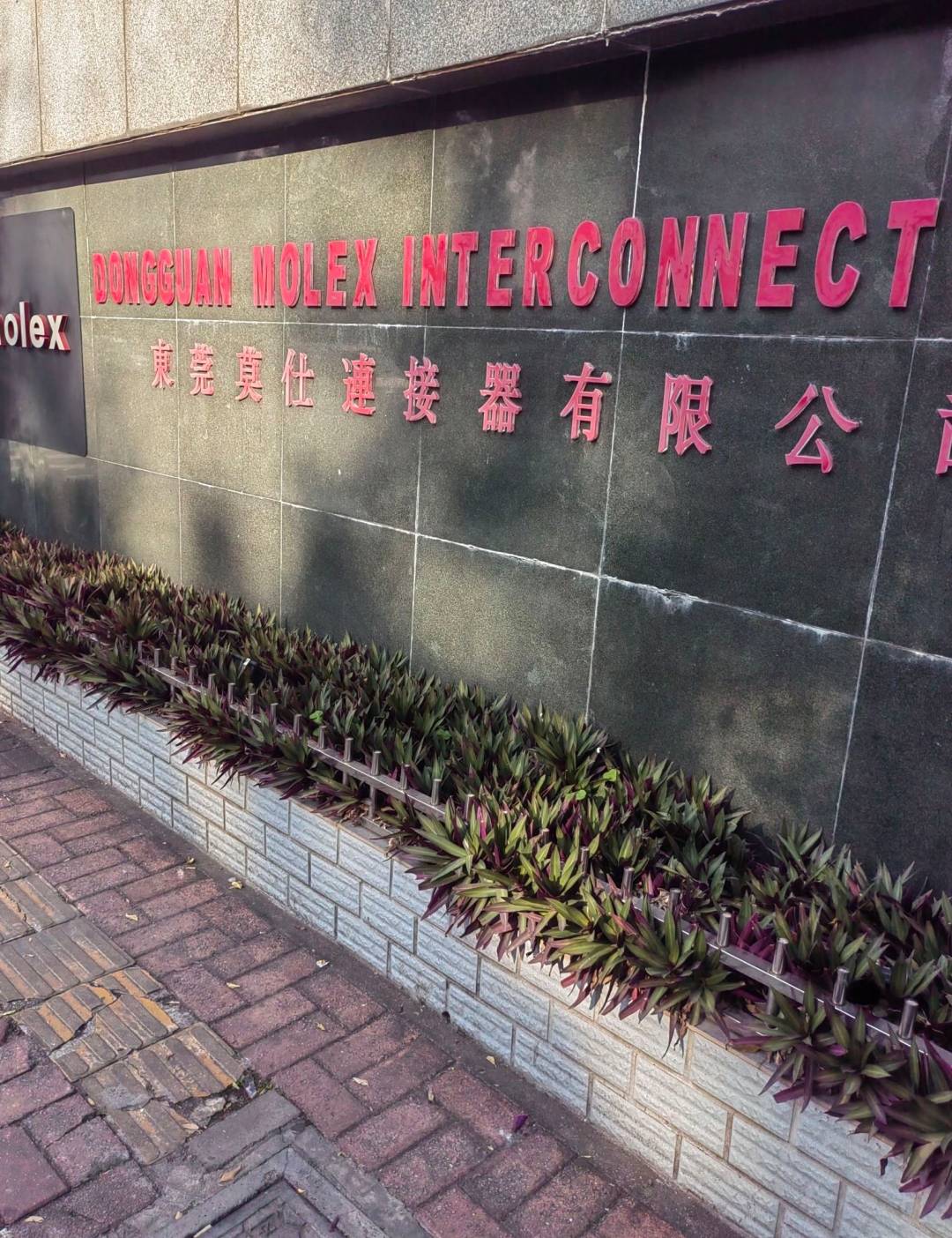 老哥们，我想起7年前，我去东莞，进了一家挂比厂，然后忍受不了流水线的操作，做了几27 / 作者:红菜苔 / 