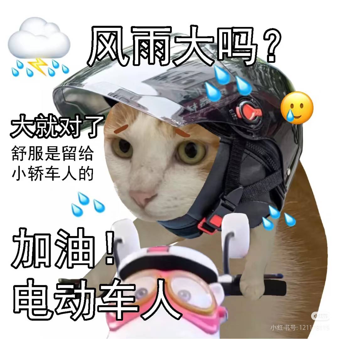 降温了，真姬儿冷啊，早上上班给我冻城冰勾了。泪水打湿小雅迪，发誓要开大奥迪


88 / 作者:YukiXX / 
