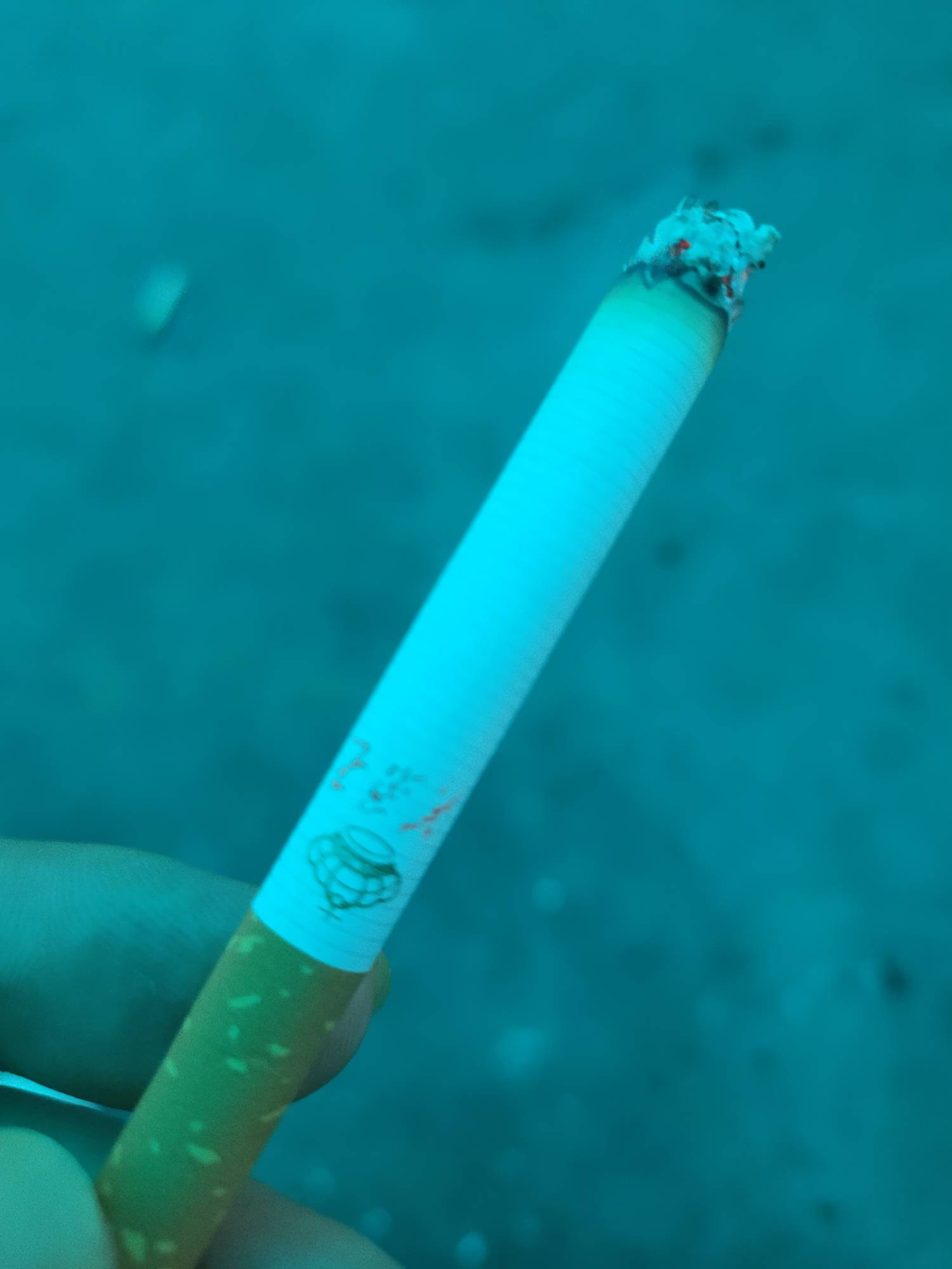 最后一根救命稻草马上断粮了

31 / 作者:回望Yuki / 
