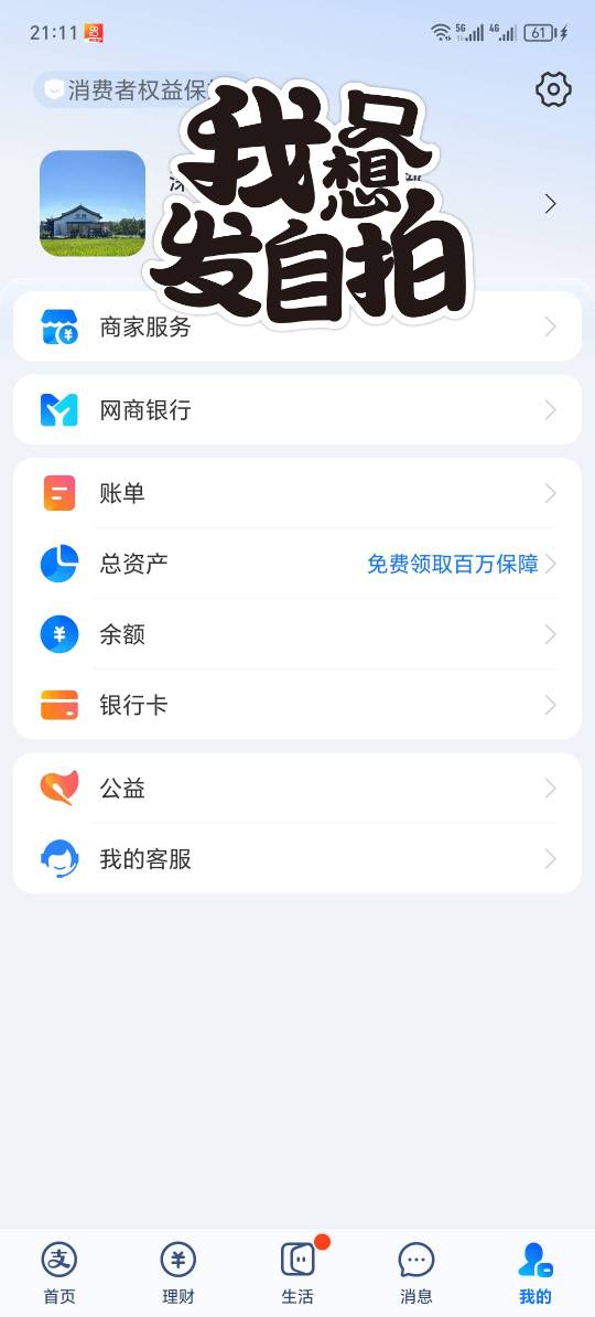 企业 个人  都有吧    实名企业咸鱼    注册企业支付宝      一样用咸鱼87 / 作者:卡农洛殇迷城 / 