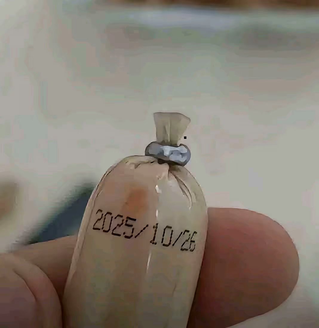 ？

32 / 作者:卡农洛殇迷城 / 
