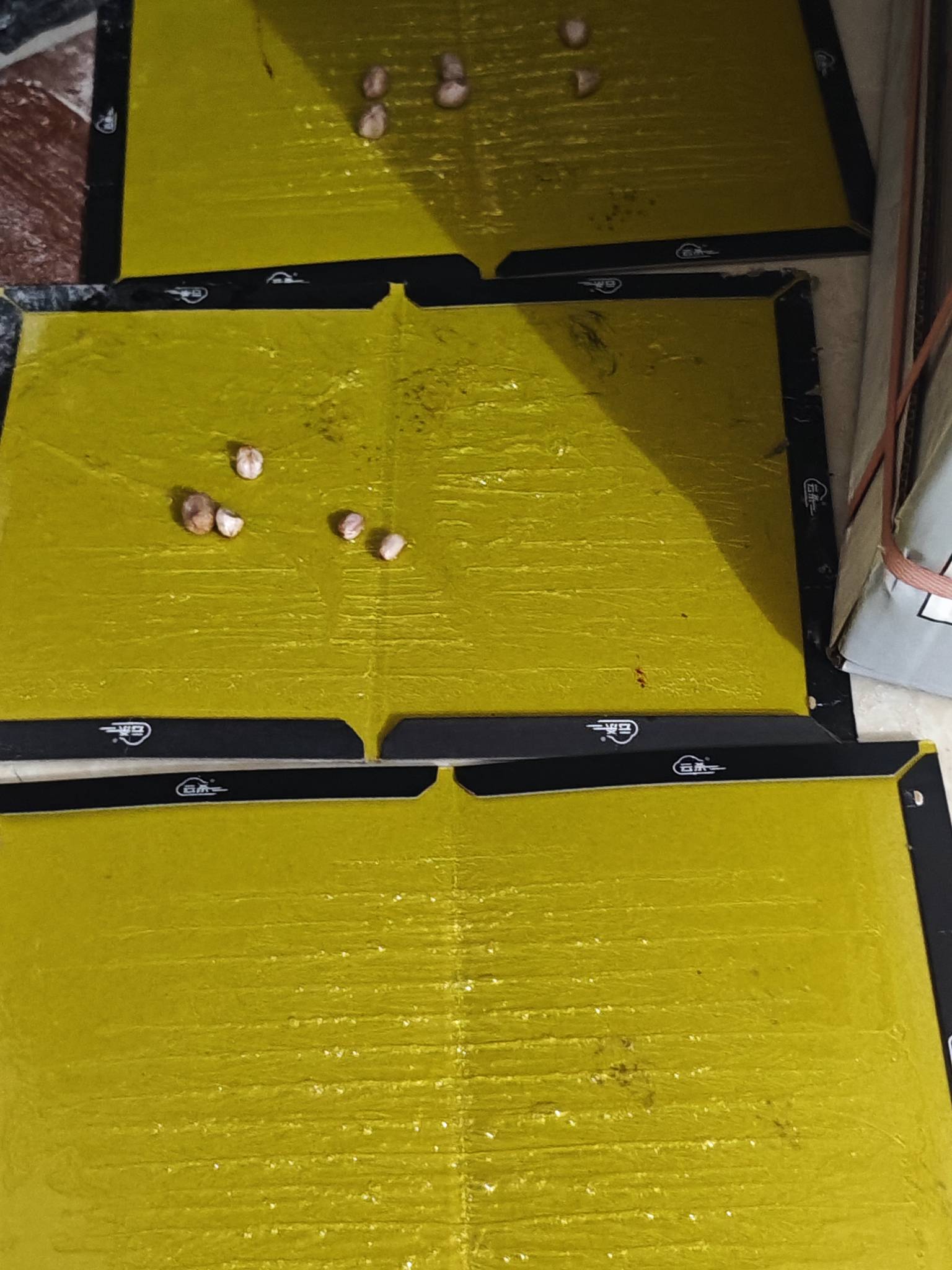 亲眼看见鼠鼠就从这里直接走进去   TMD这么假

29 / 作者:击剑柿子 / 