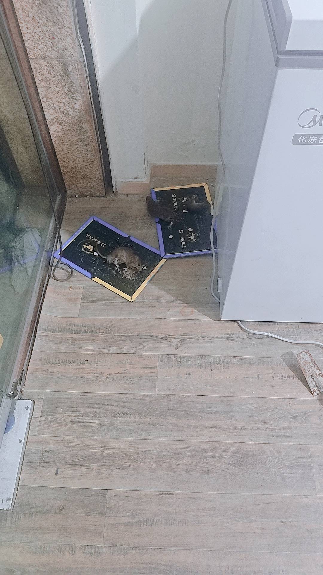 亲眼看见鼠鼠就从这里直接走进去   TMD这么假

27 / 作者:饭特稀jay / 