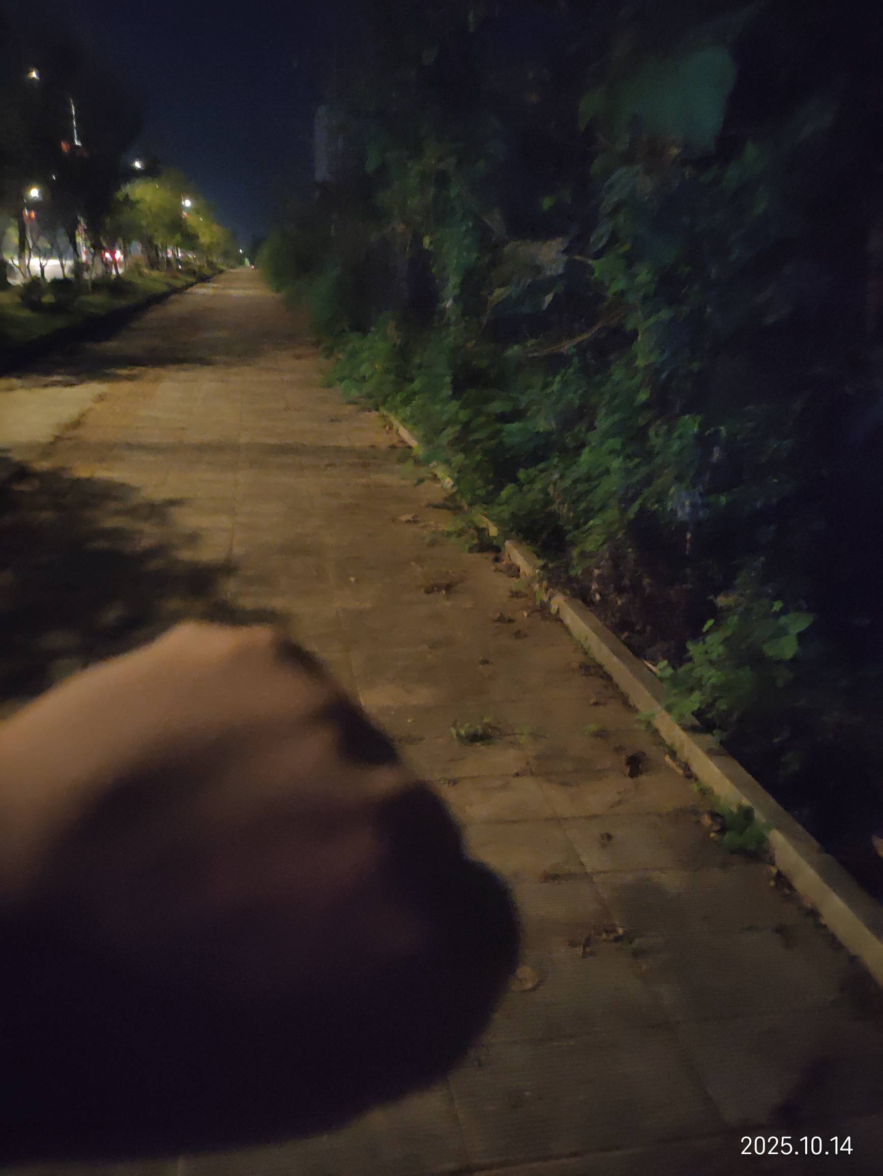 老哥们，瘫痪在荒郊野岭，想找个树林呆一晚上



48 / 作者:红菜苔 / 