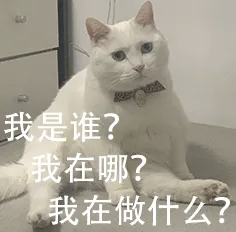 饿晕了一天，刚醒，有毛吗

6 / 作者:尛•牛•氓 / 