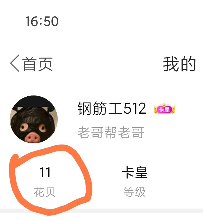 怎么能多弄点花贝，求破解，安大门，有没有技术大神

89 / 作者:钢筋工512 / 