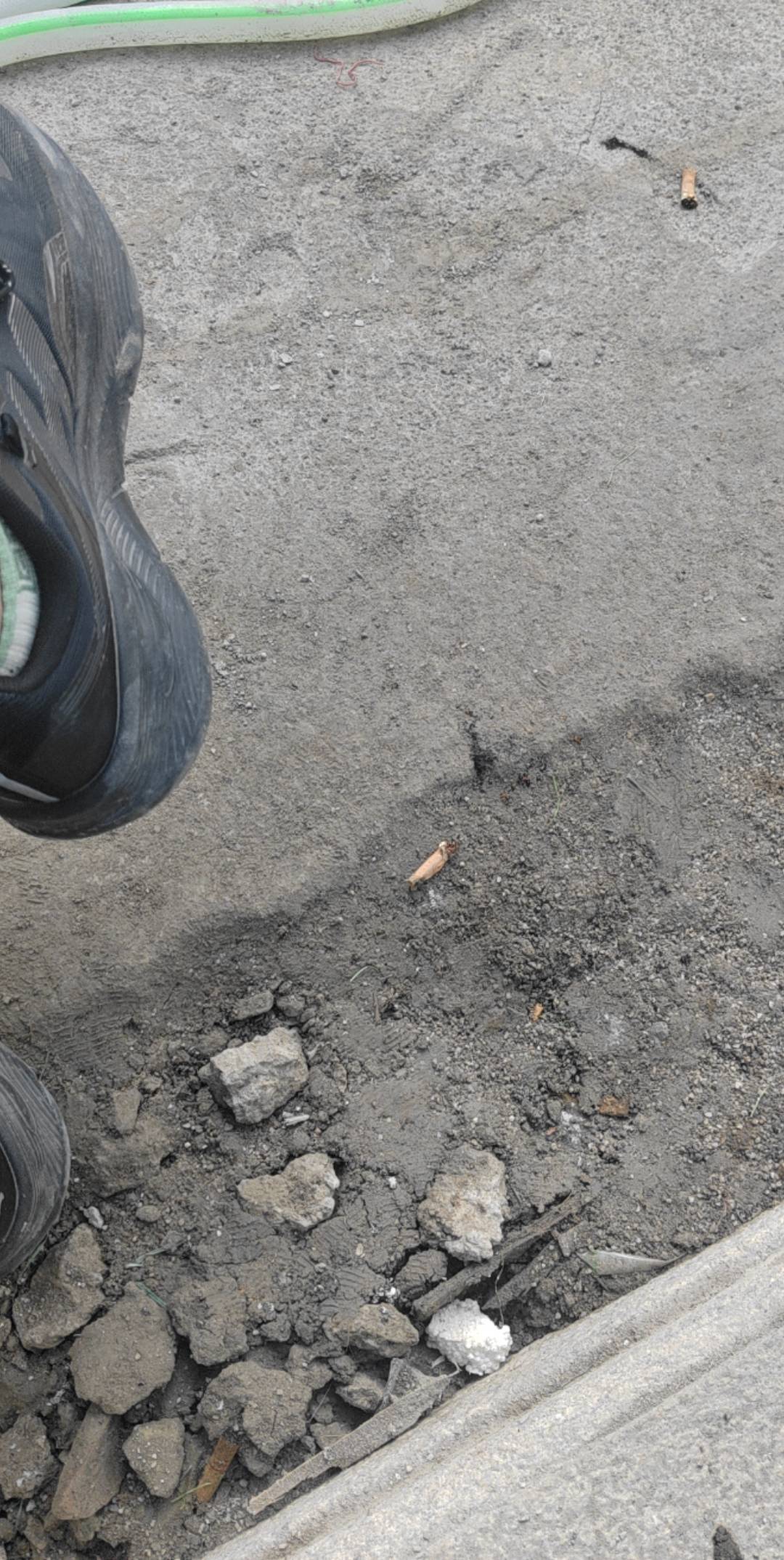 第八天挂壁保安
12小时240不管吃住
上班就是坐等下班



5 / 作者:酒肉和尚 / 