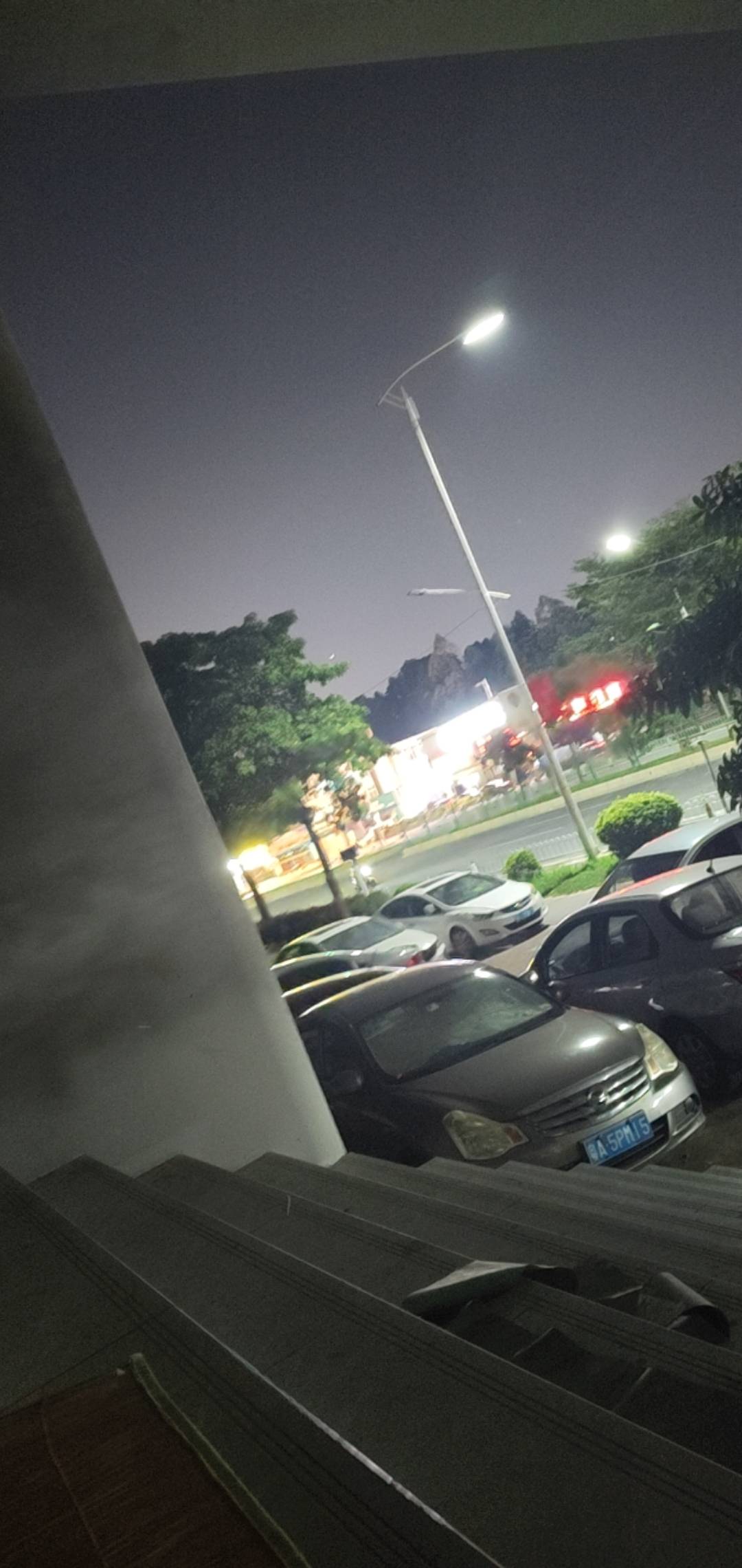 广东变天了，躺公园被风吹得冷醒了

57 / 作者:挺好哈哈 / 