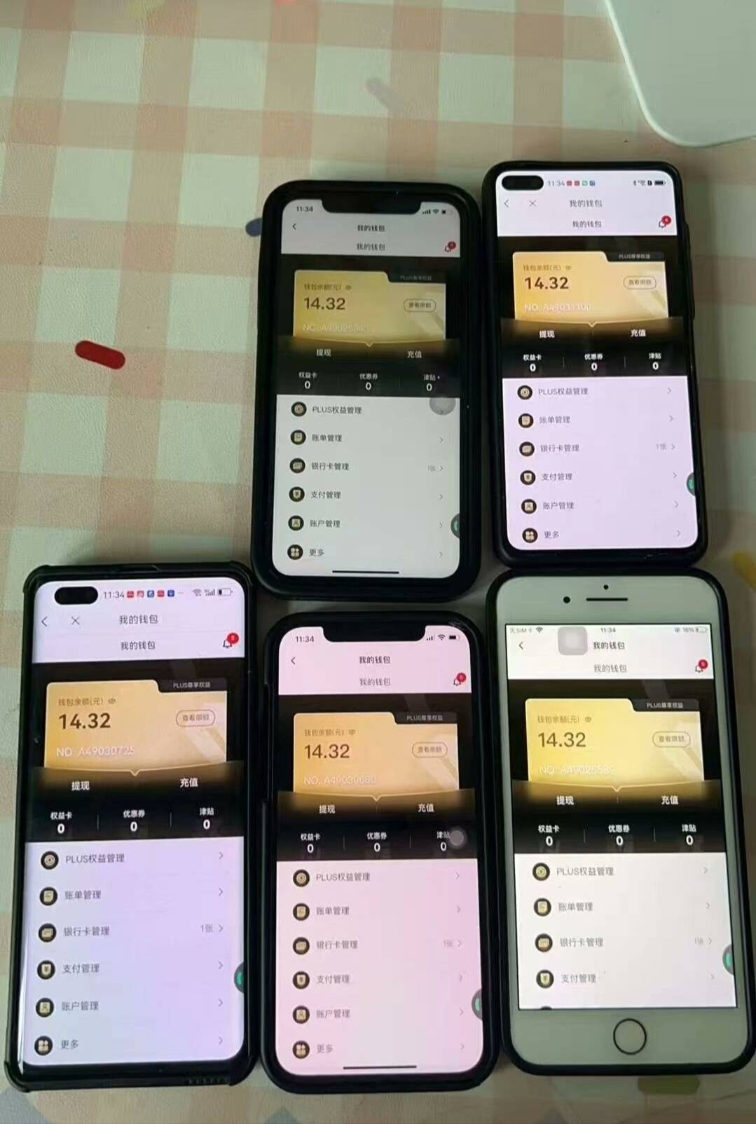 大镖客是我最看好的大羊毛，后期用大镖客合成牛啤熊猫，价值你们估算，老哥们：目光要67 / 作者:轻舞飞扬2030 / 