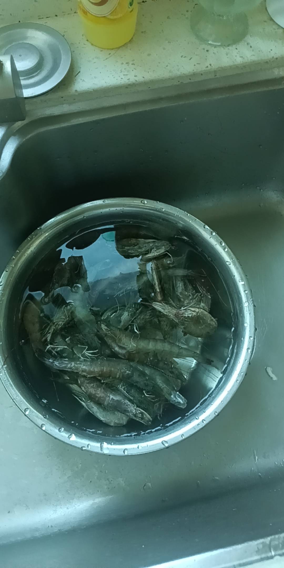 又到饭点了

97 / 作者:顾小贝 / 