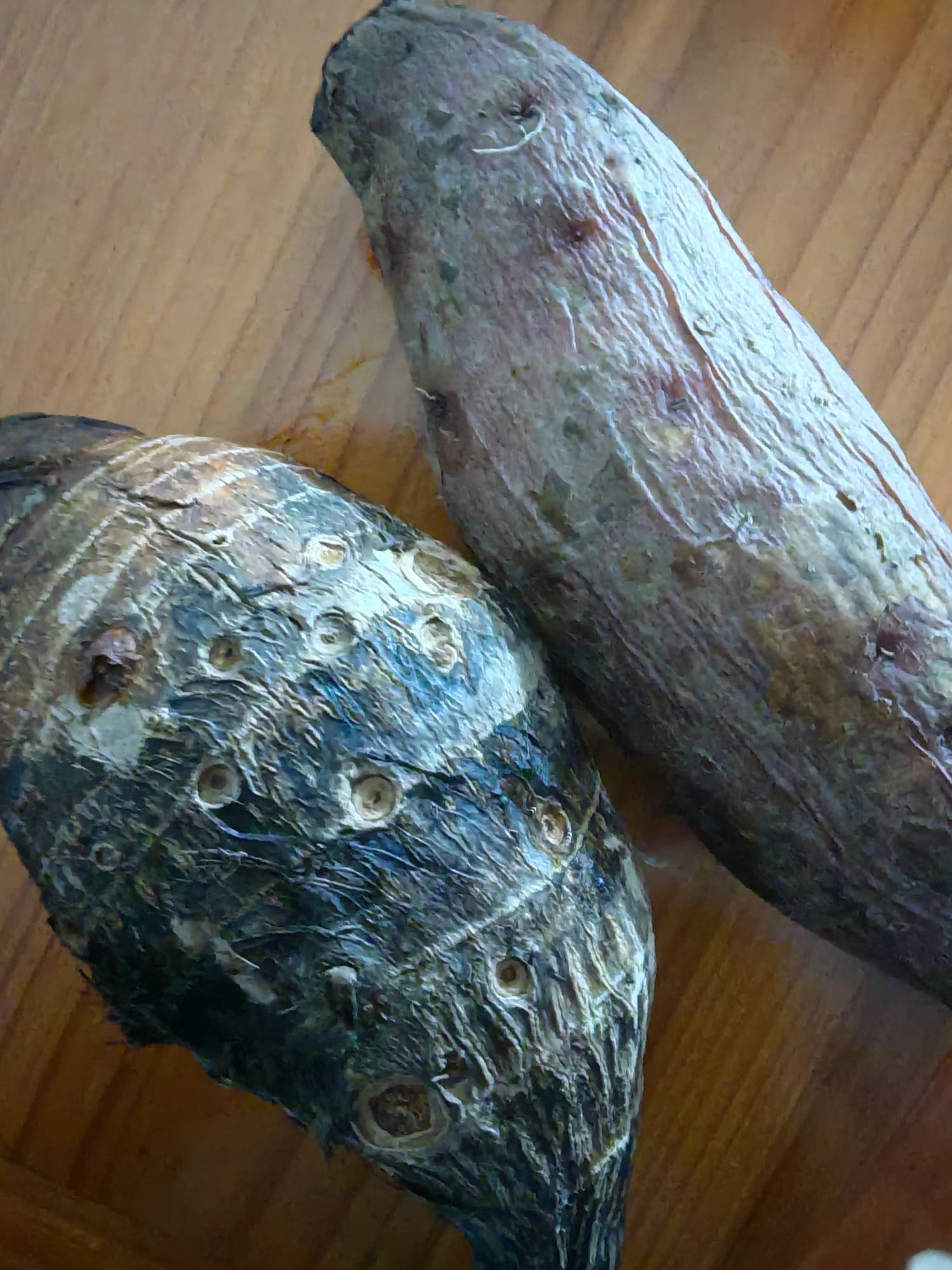 问老哥们一个问题。我每餐只有一个菜。一个是懒。更重要的是囊中羞涩。我每次吃饭的时31 / 作者:我不是女的 / 