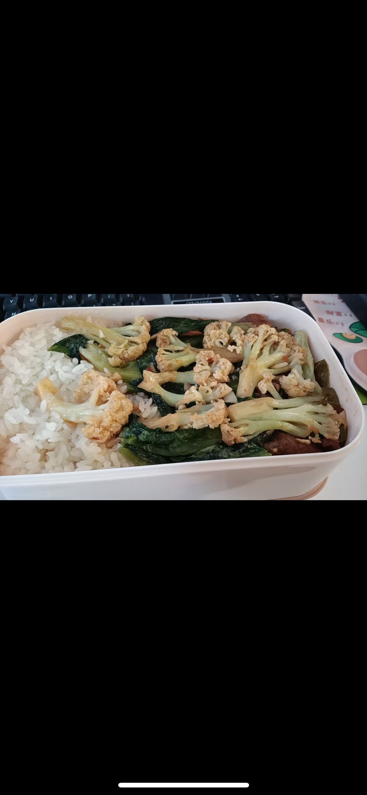 菲菲都饿晕了，吃得比挂壁餐还寒酸，你们快点带她鲁毛吃点好的


80 / 作者:半死不活的 / 