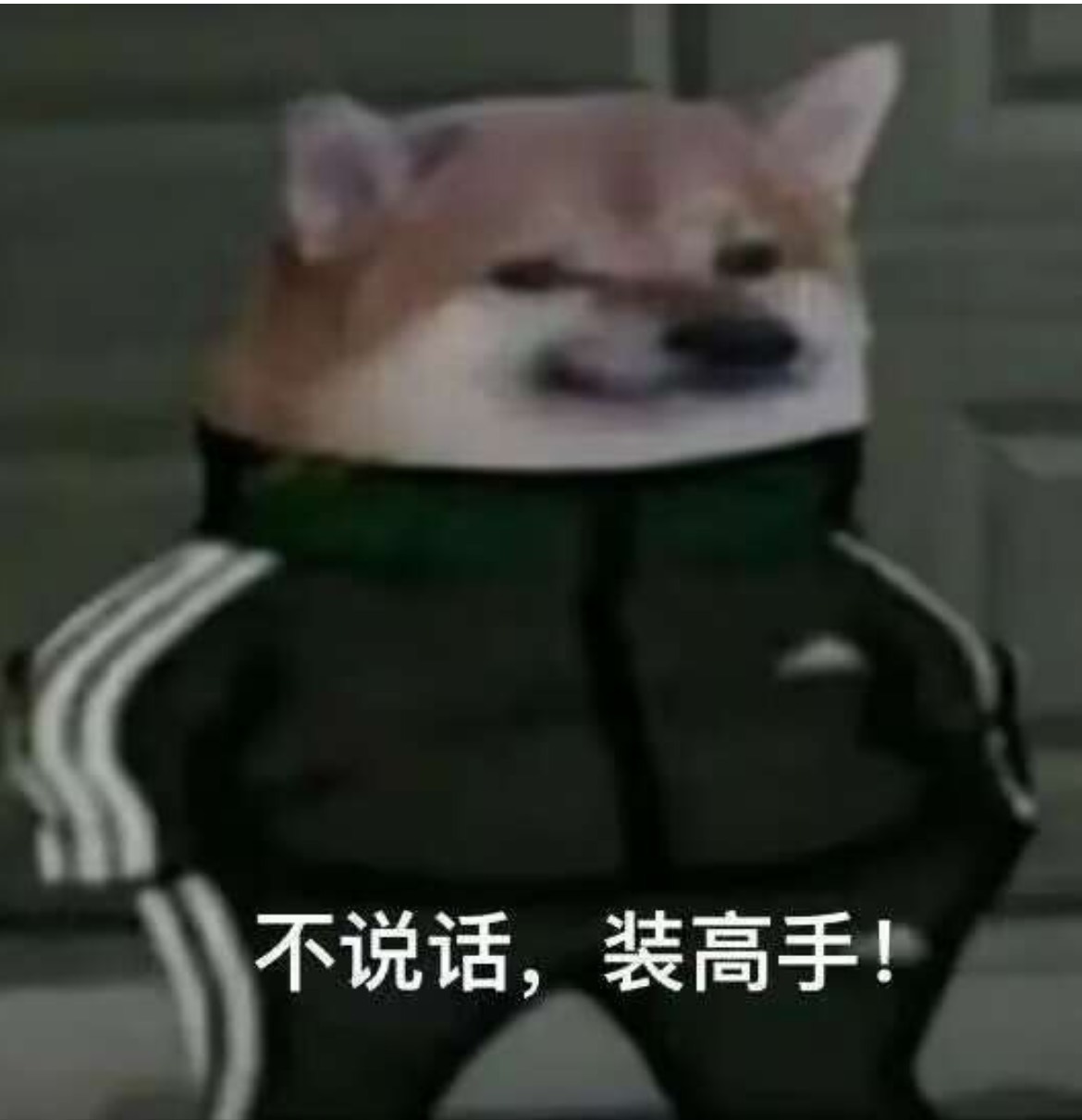 几点发毛

21 / 作者:卡农无言祖 / 