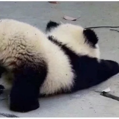 商场有几十块的裤子卖吗挂壁崽没去过

68 / 作者:知了好不 / 