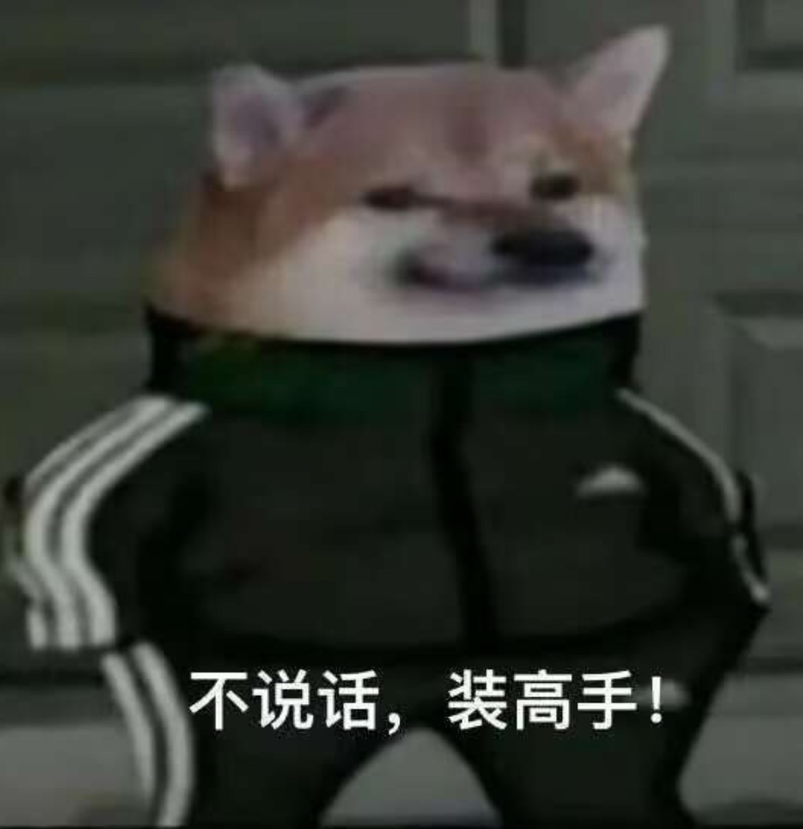 不愧是挂壁仔，为了一箱奶就去开卡

86 / 作者:卡农无言祖 / 