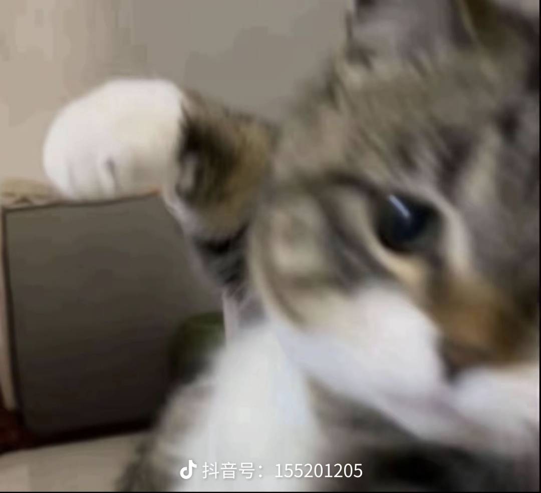 完犊子  今天早上突然冒出来三个大肉球痔疮 nnd是真难受 加上感冒了一个星期 现在还在21 / 作者:最爱的鲲鲲 / 