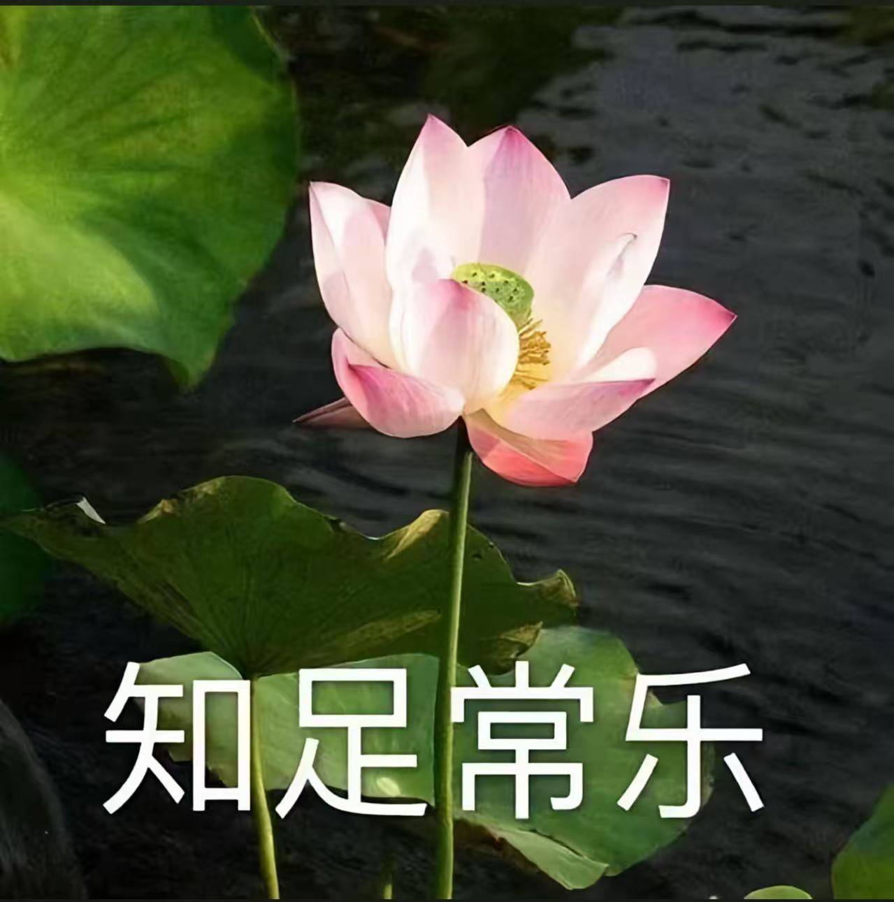 最后二百买了莱万特让球，别输啊

35 / 作者:不予x / 