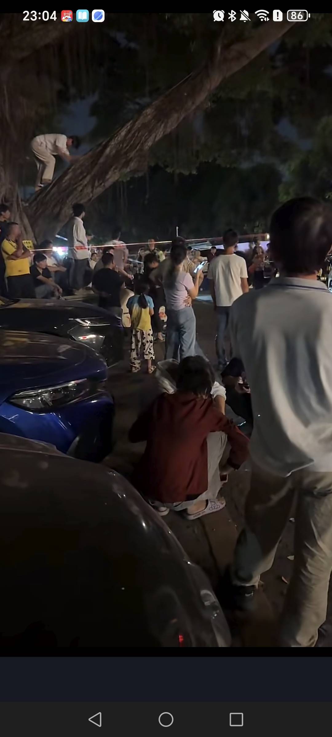这是哪个老哥啊，长安乌沙这里看热闹爬树上

66 / 作者:挂比了救我鸭 / 
