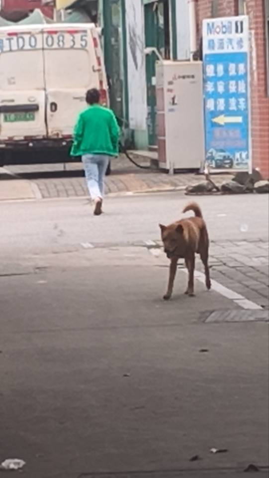 像极了各位老哥的嘴脸

37 / 作者:钢筋工512 / 