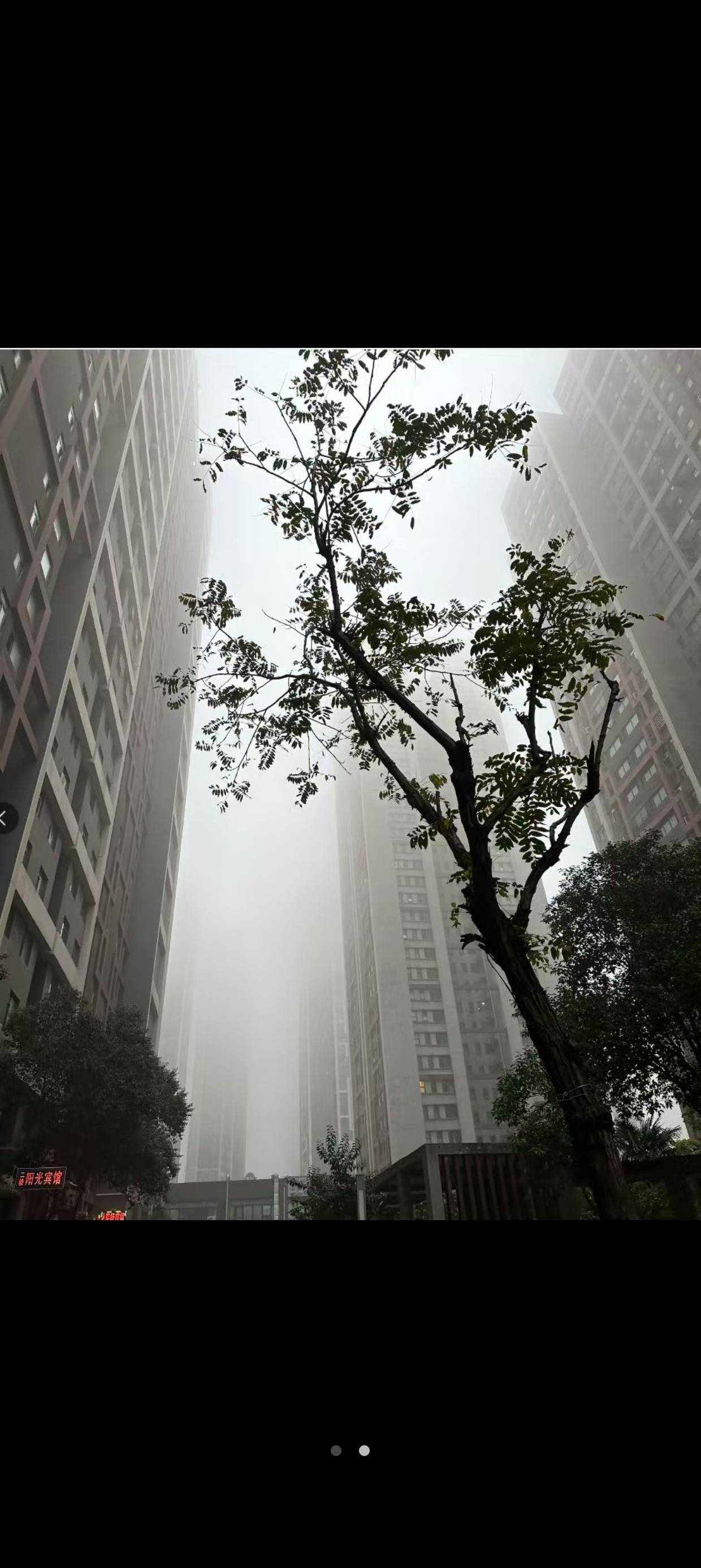 天然马赛克


53 / 作者:寂寞体检 / 