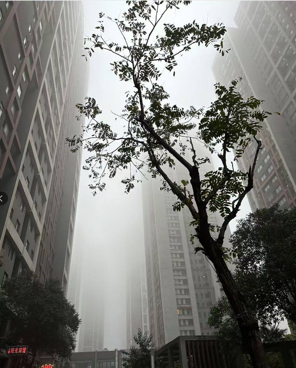 上班


32 / 作者:卡农无敌帅 / 