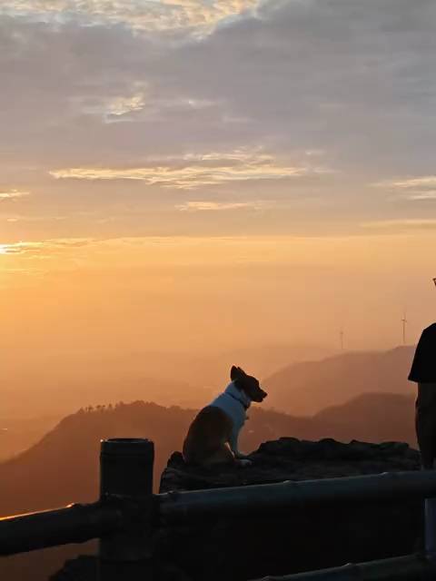 广州农商行有什么毛吗，楼下有个银行，准备去开个一类

68 / 作者:卡农高富帅 / 