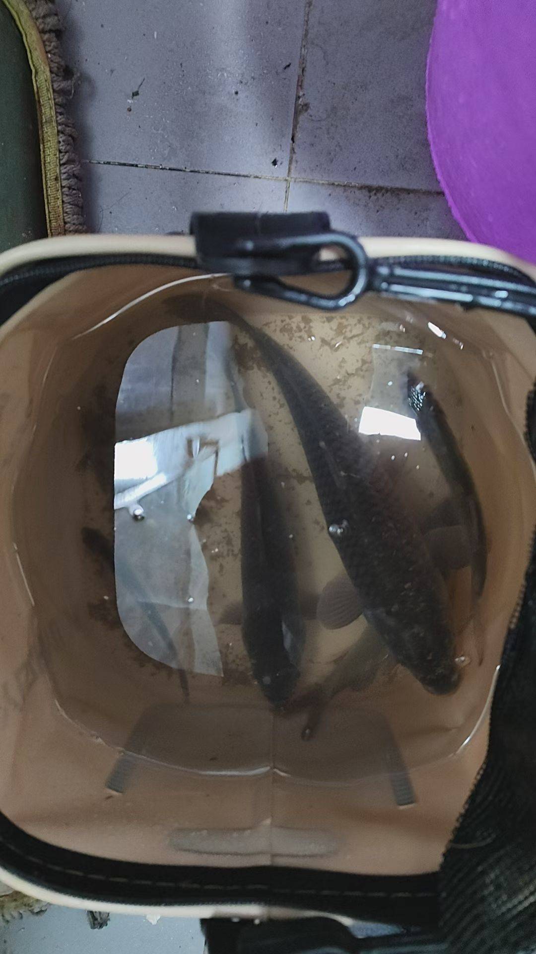 钓鱼先


87 / 作者:发丘摸金校尉 / 