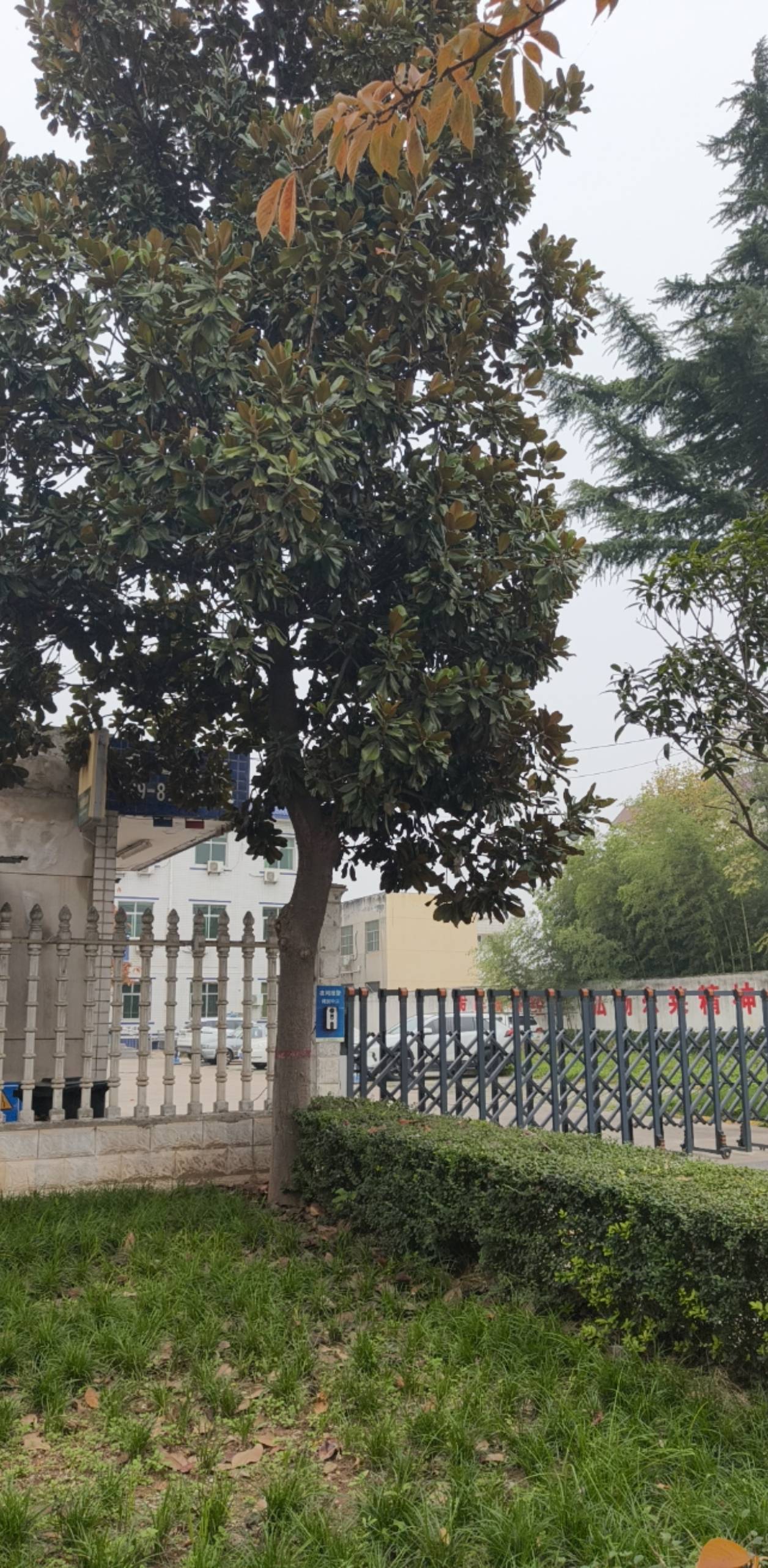 老哥们，之前我200元卖了一个QQ，现在那个人说我找回了，我没有找回，然后他带着什么47 / 作者:好多好多很好真 / 