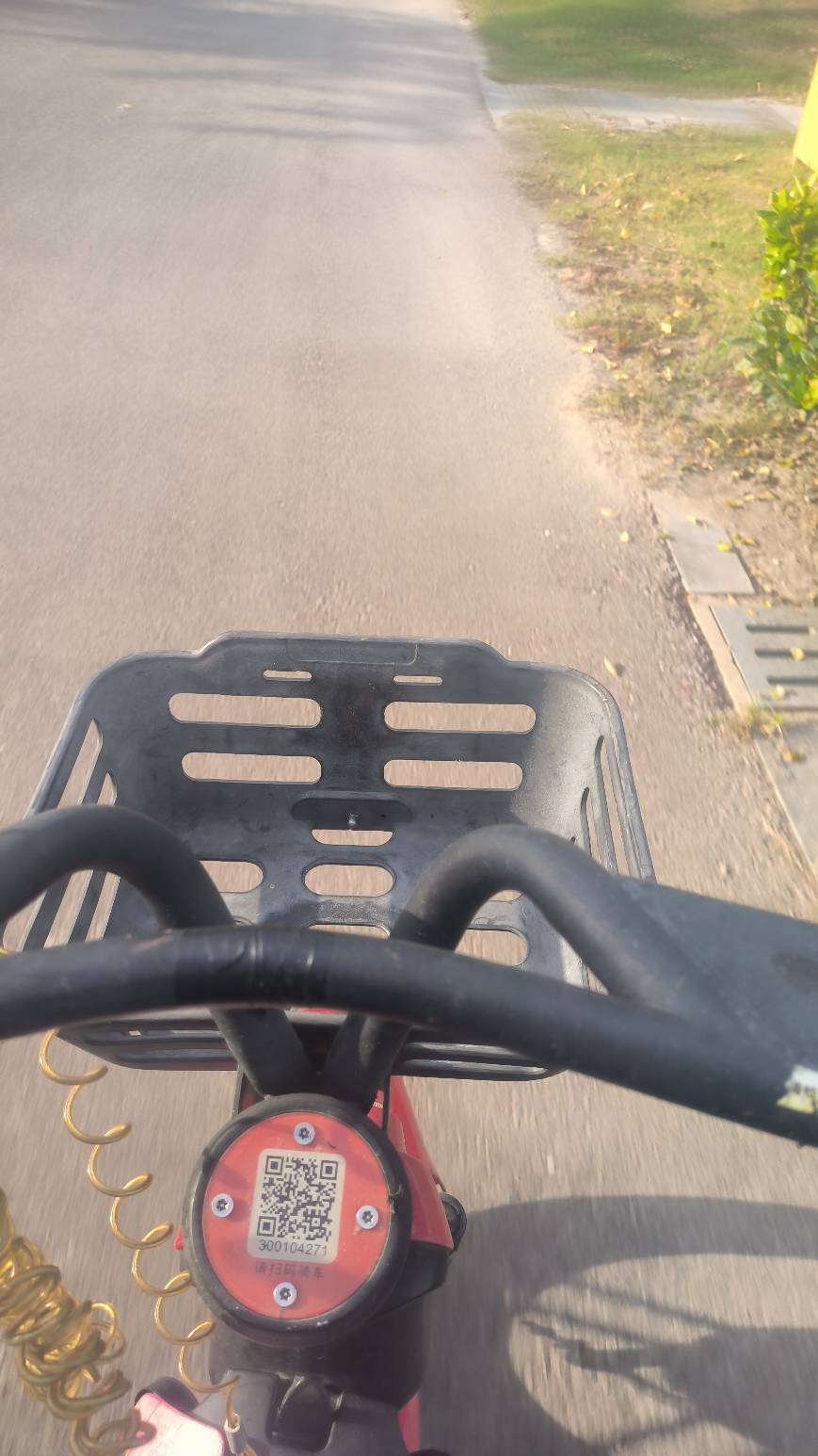 天天躺着出来转悠转悠


89 / 作者:余似水 / 