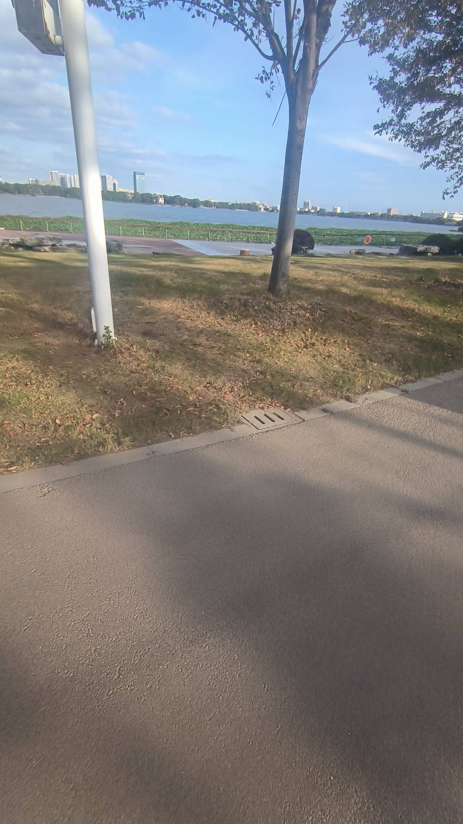 天天躺着出来转悠转悠


94 / 作者:余似水 / 