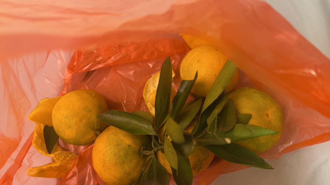 路边摊卖橘子的绝啦，10个橘子给我拿四个坏的！真想问候一下她母亲，

54 / 作者:寻梦青年2 / 