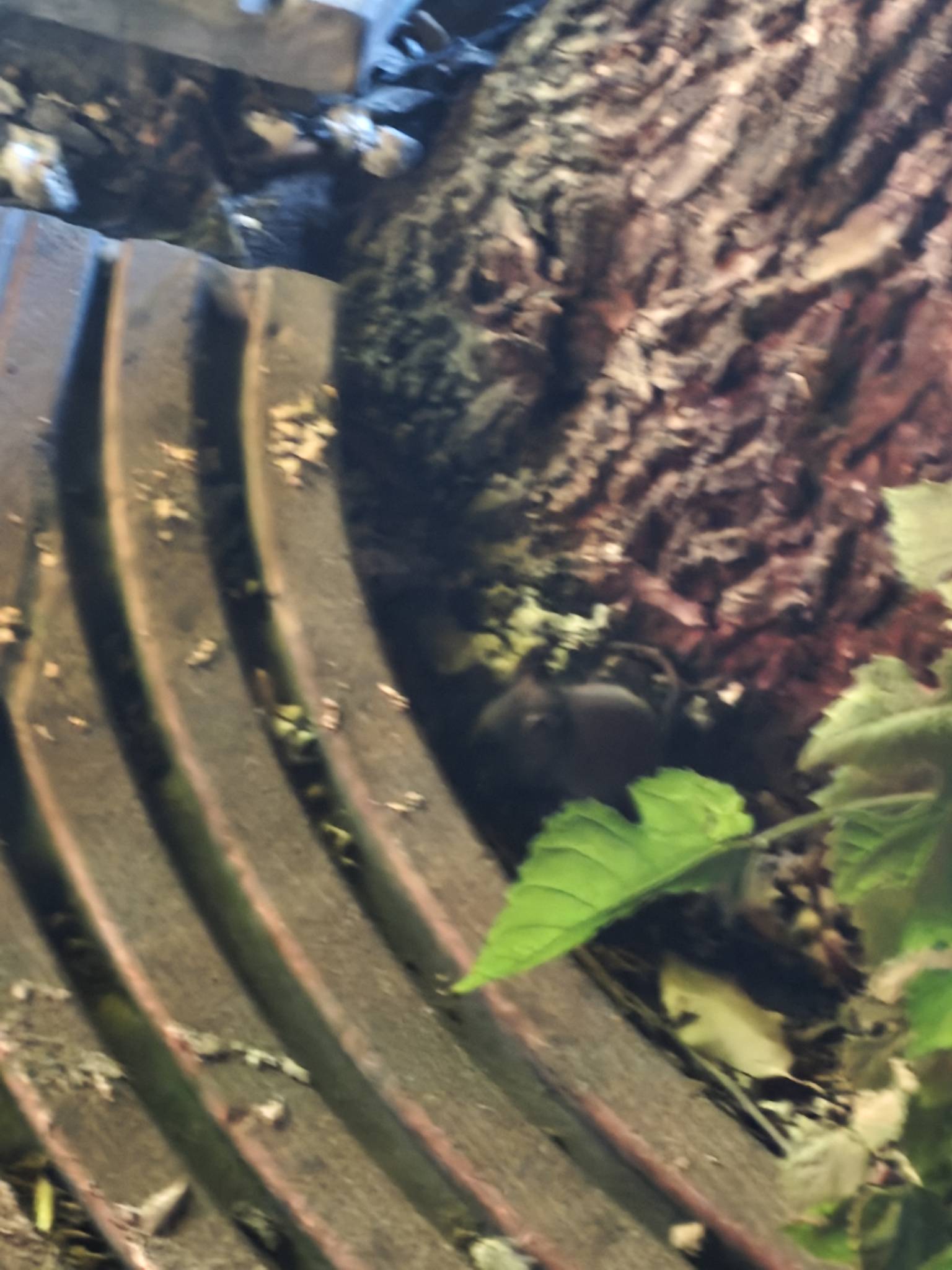 像极了挂比老哥

62 / 作者:爱吃小鱼片1 / 