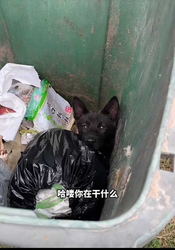 东莞下岭贝的挂壁房，臭死了，睡到6点受不了，跑了

18 / 作者:钢筋工512 / 