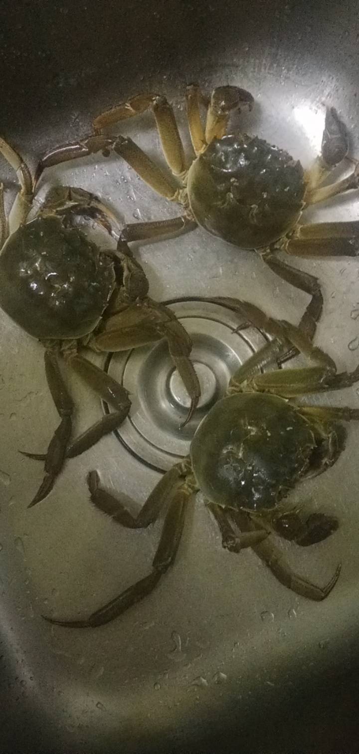 绑起来冰箱放了三天还没挂

65 / 作者:一站宜白路 / 