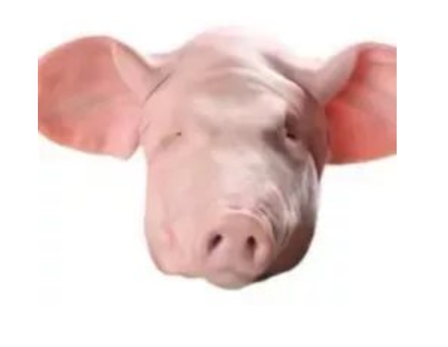 王者荣耀十周年送限时点券，燃灯寄梦最高得2000！【高级河灯狄仁杰1W1LNS】我是高级河64 / 作者:晋王杨广 / 