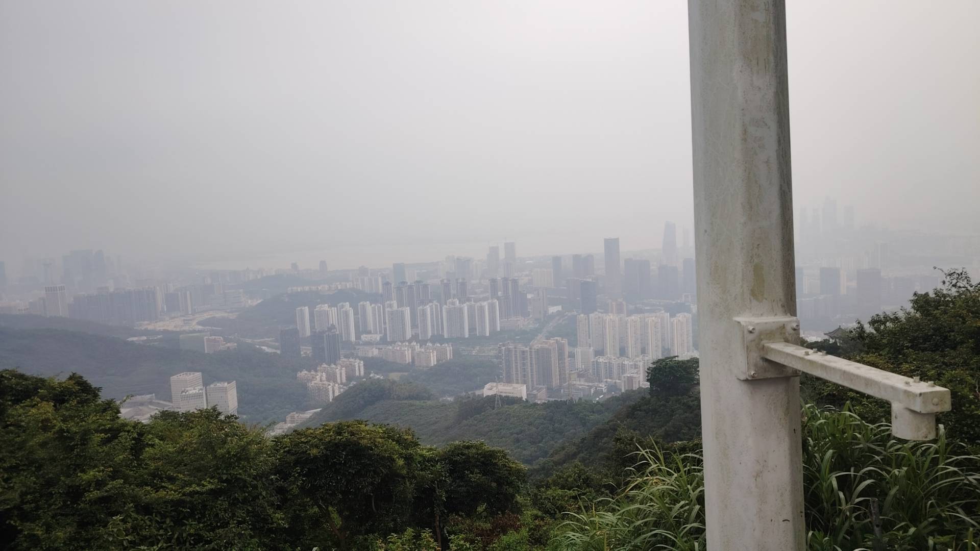 我有罪事到如今最对不起的就是家人，我对不起父母，对不起家人，对不起朋友，对不起信99 / 作者:我不是挂壁仔 / 