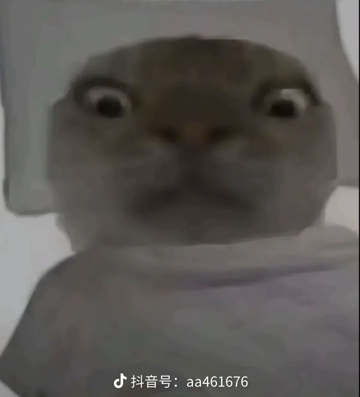 小沫，还记得你每天早上都会醒的比我早，

你从来也不喊我早起，只是等我醒了去给你

80 / 作者:温柔is / 