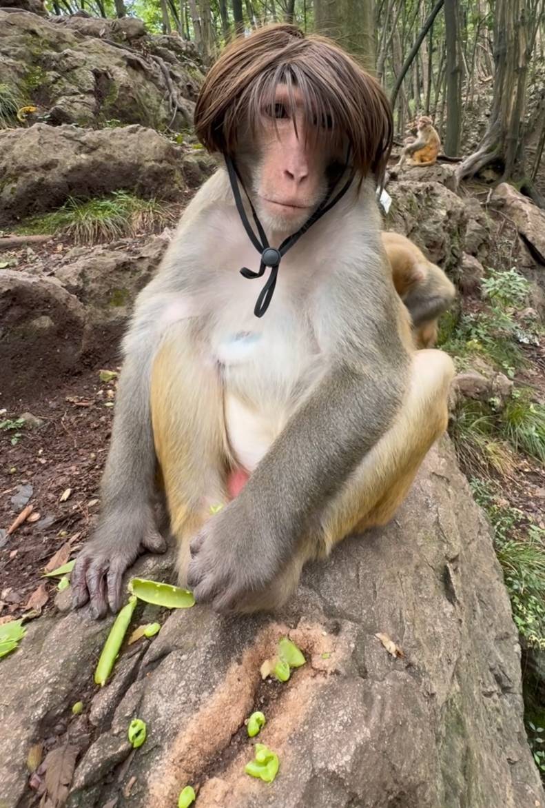 大家好，我是刘德华

62 / 作者:林汉连 / 