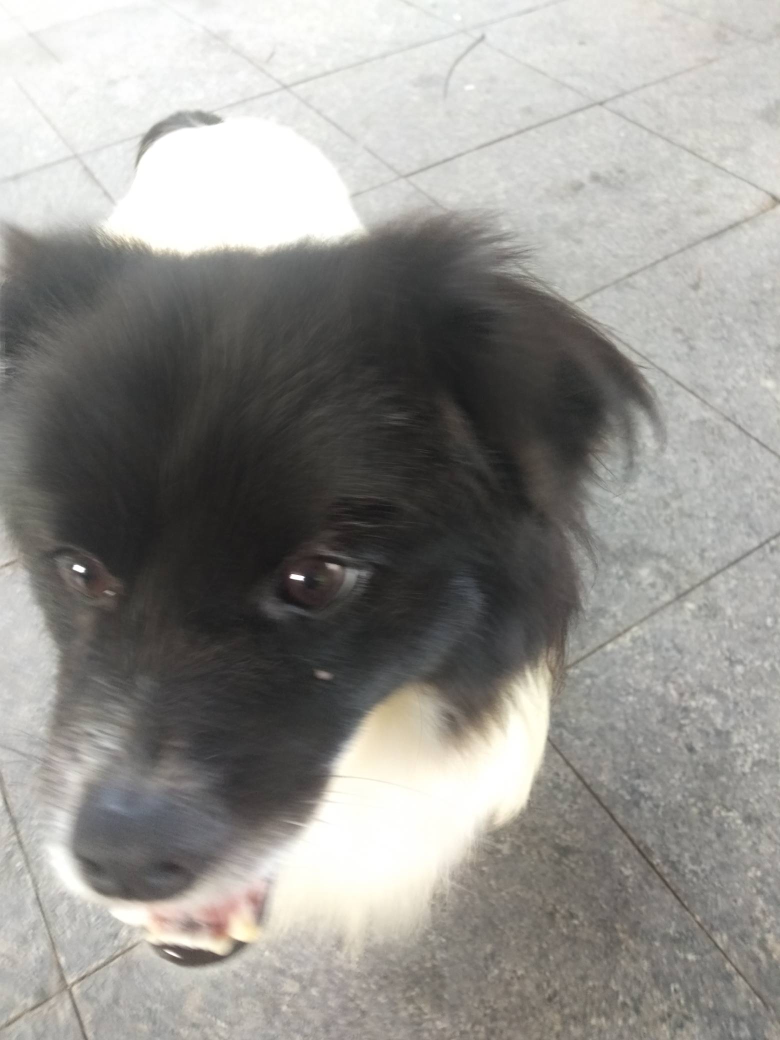 年初二，无毛

90 / 作者:尛•牛•氓 / 