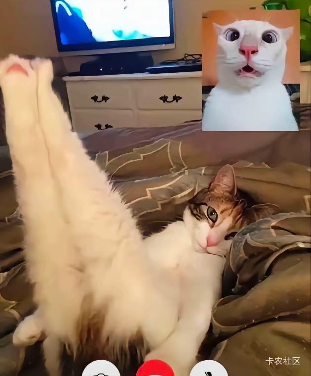 眉毛

89 / 作者:摇摆的苏丹 / 