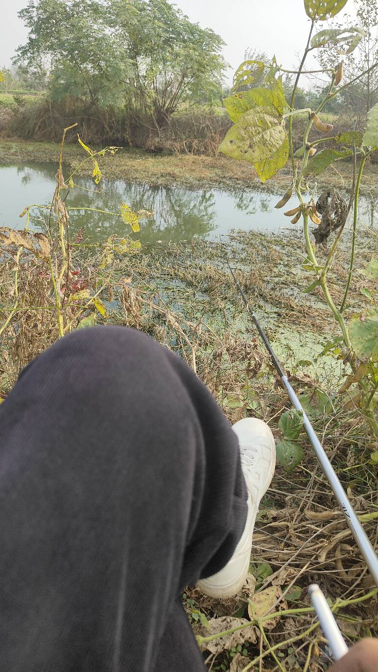 钓钓鱼 看老哥们吹吹牛

45 / 作者:叶寻啊 / 