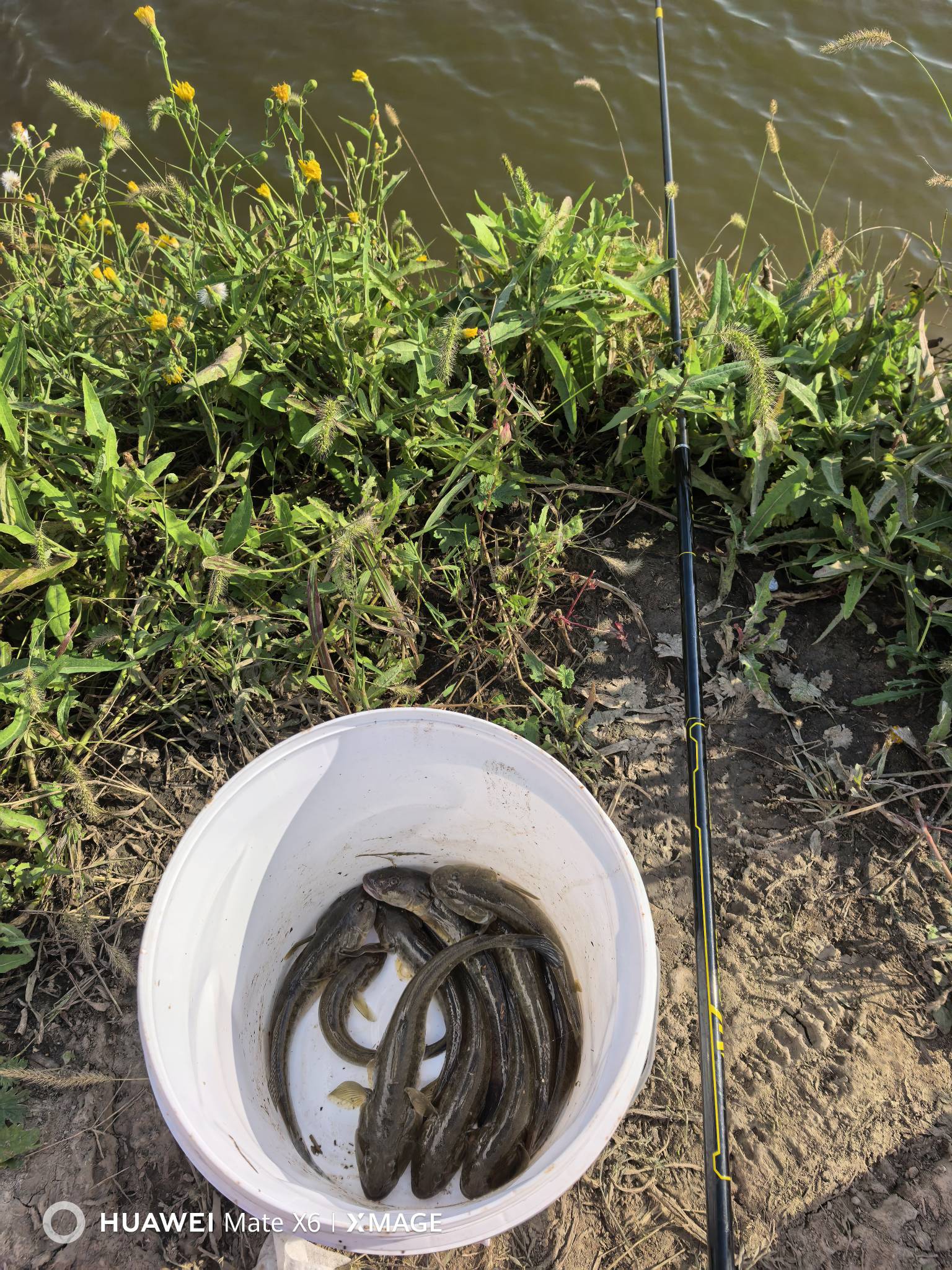 钓钓鱼 看老哥们吹吹牛

88 / 作者:搞钱！ / 