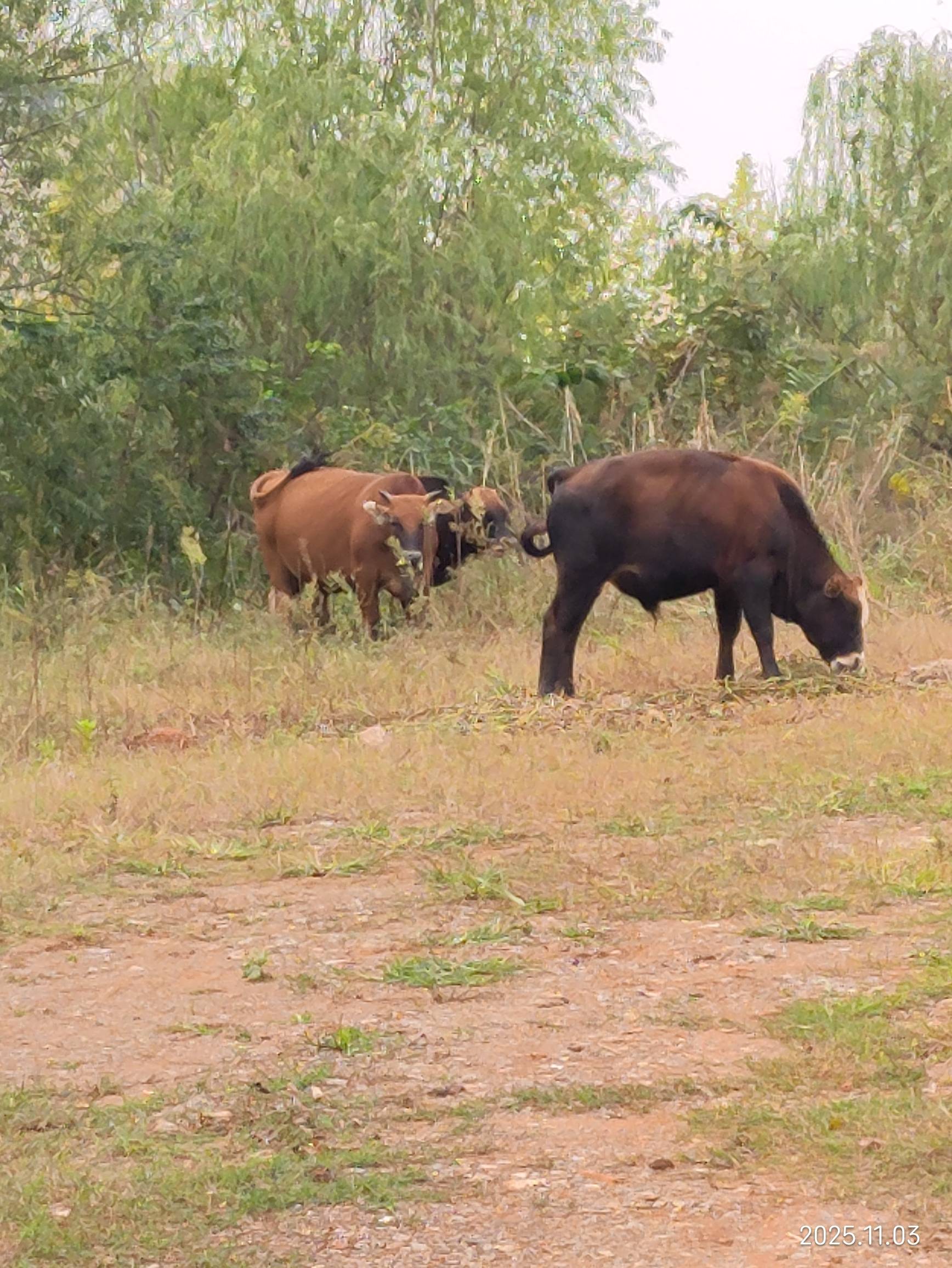 老哥们，挂比瘫痪了，只能找个荒地吃点喝点了




23 / 作者:红菜苔 / 