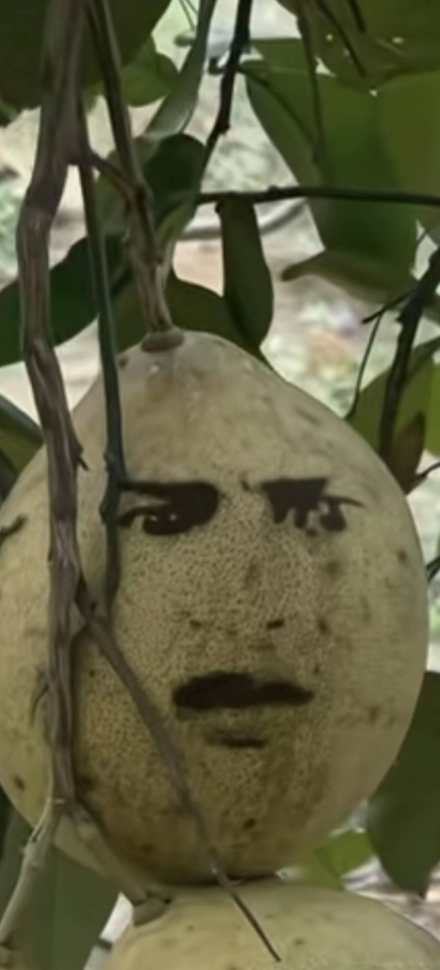 倒下了




62 / 作者:夜也快8 / 