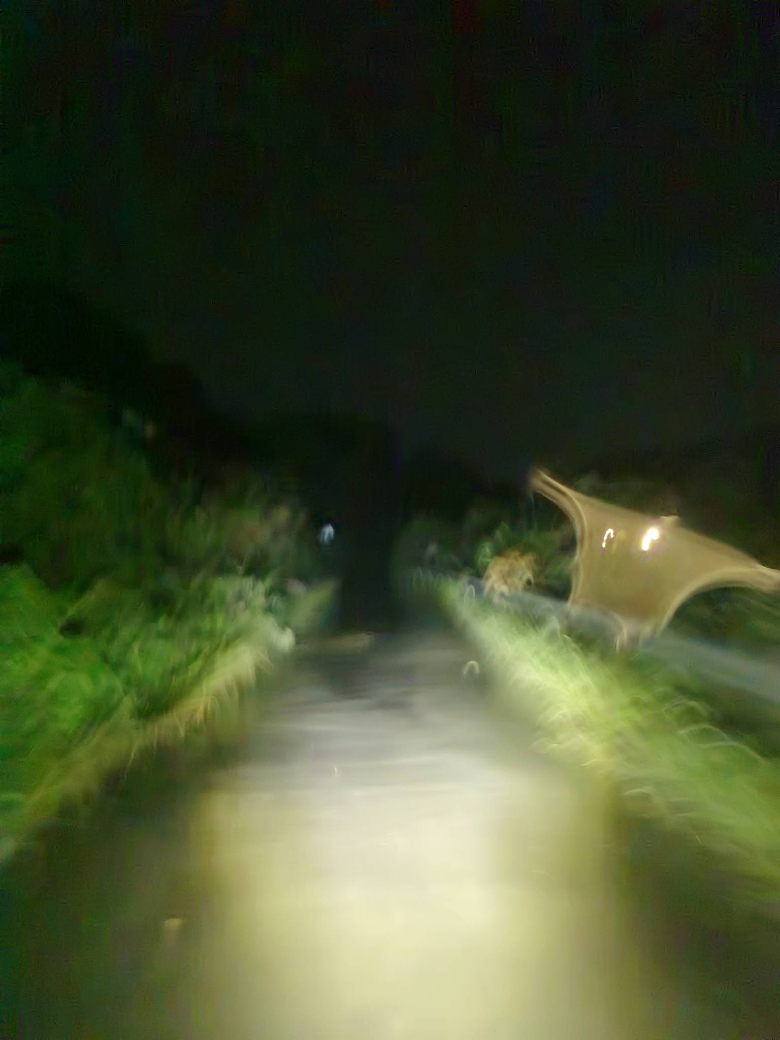 出dy10话费 留鱼

61 / 作者:千八八 / 